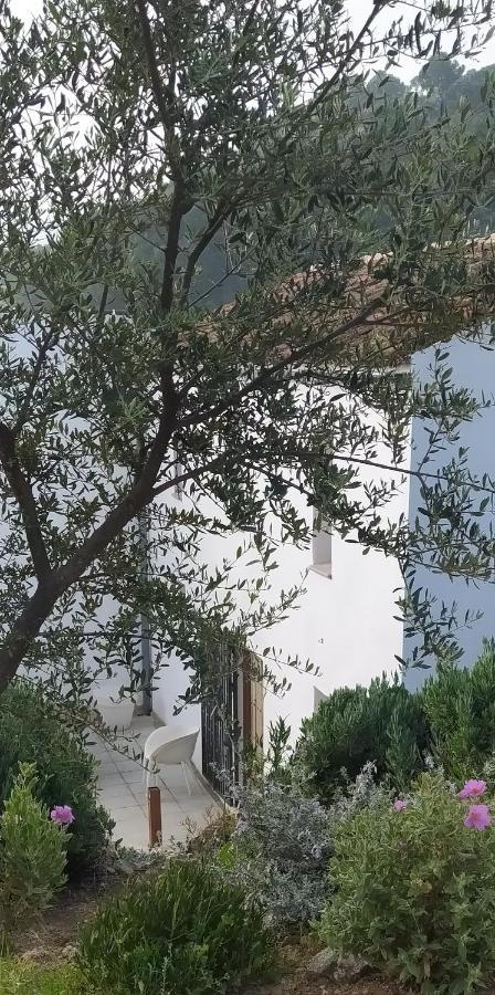 Finca Las Morenas Юнкера Экстерьер фото