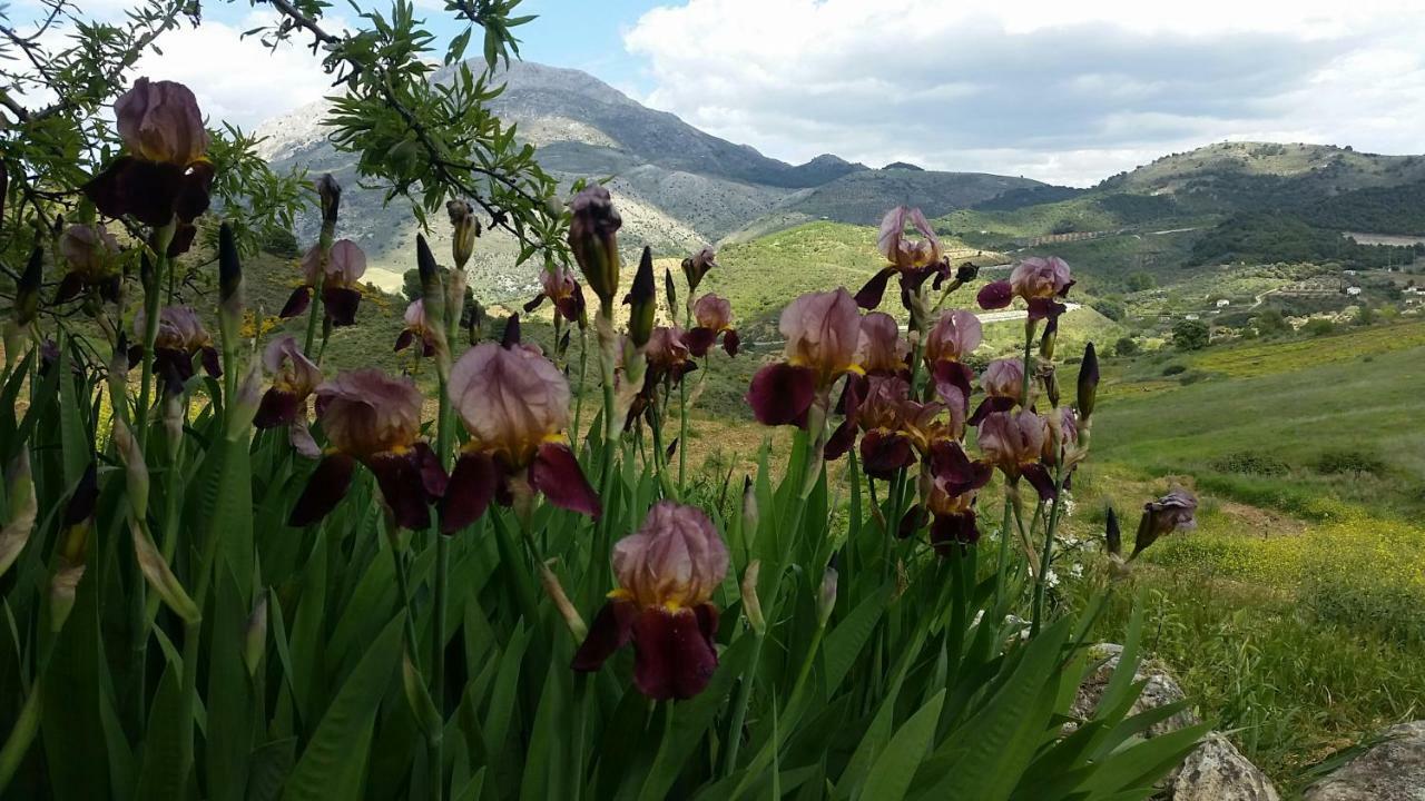 Finca Las Morenas Юнкера Экстерьер фото